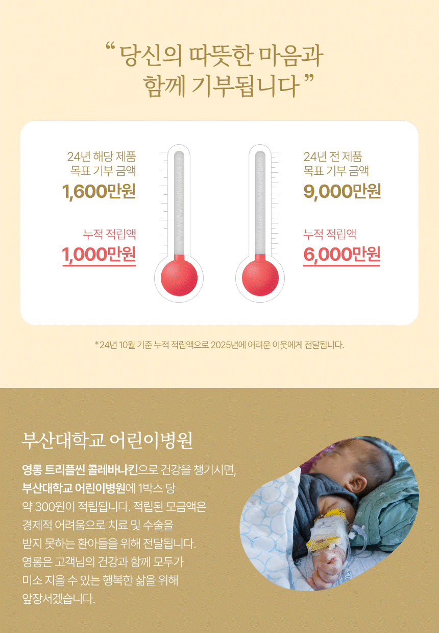 기부내용