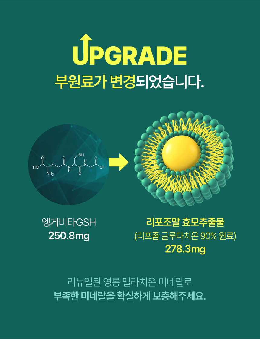 업그레이드